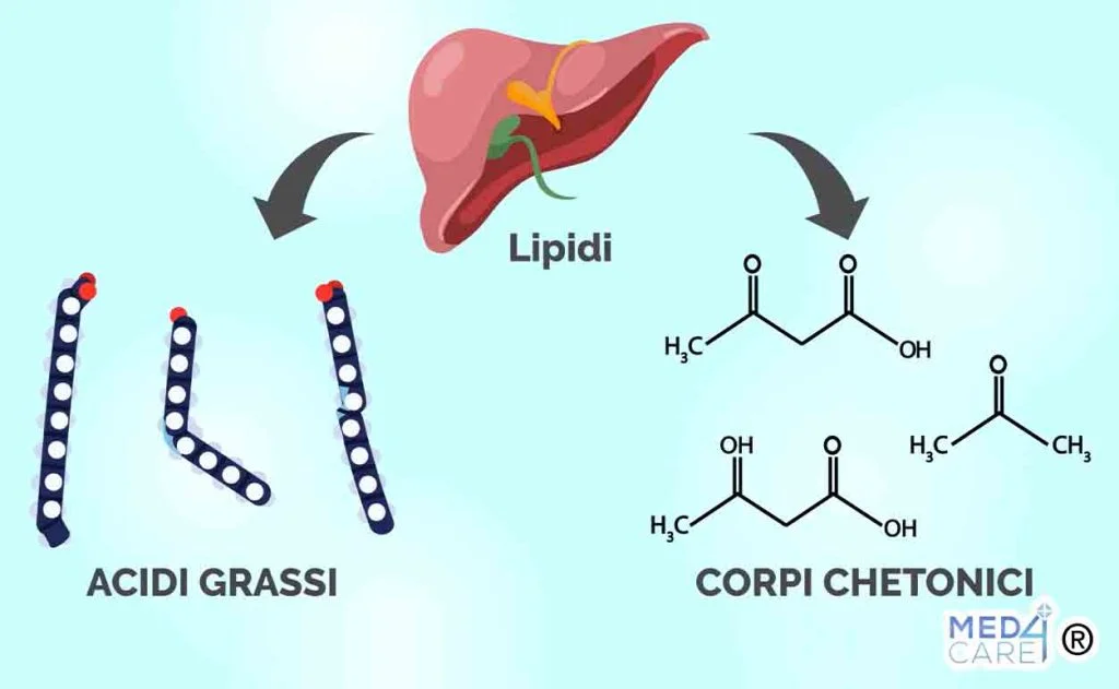 Acidi grassi e corpi chetonici, dieta chetogenica