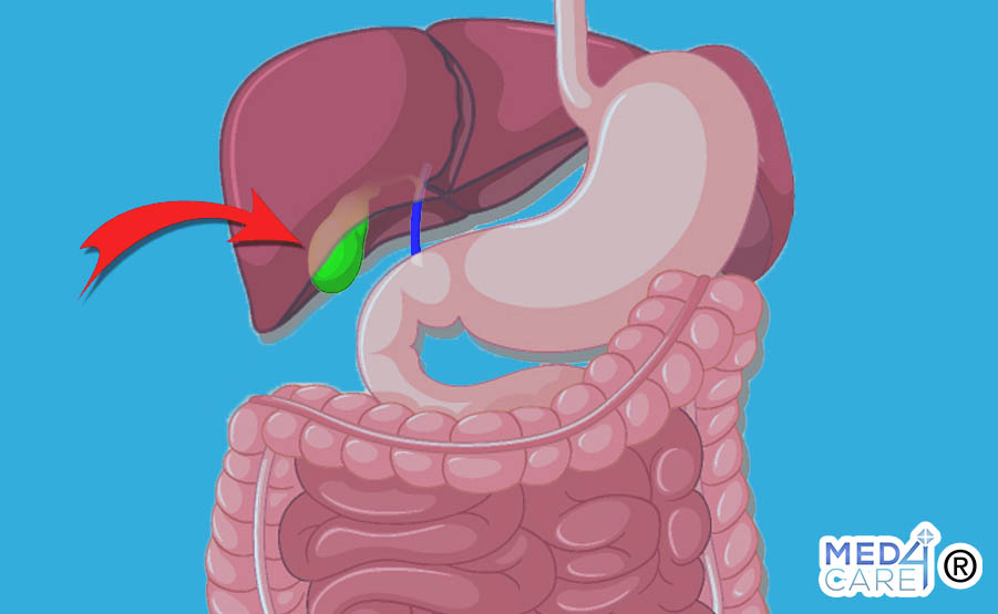 Posizione Colecisti