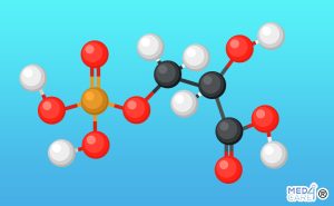 Amminoacidi, proteine, integratori, aminoacidi, amminoacidi essenziali