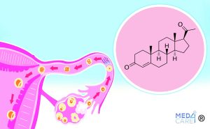 Scopri di più sull'articolo Progesterone