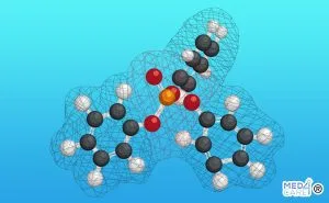 Fosfatasi alcalina, enzimi, enzima, proteine, proteina